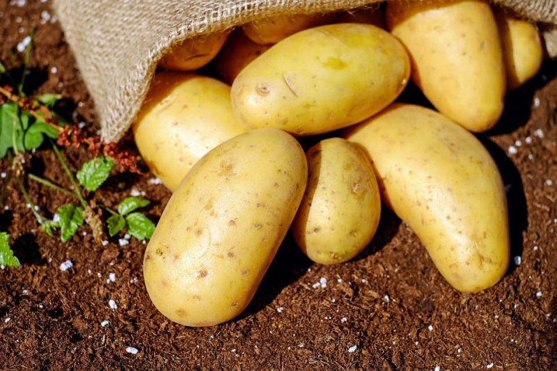 土豆如何去眼袋什么原因导致眼袋重